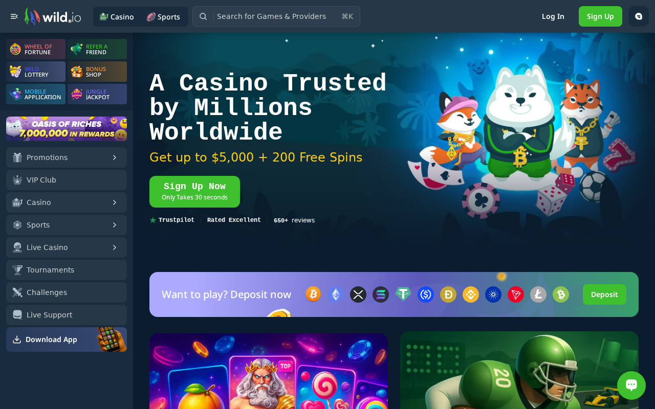 Wild.io homepage screenshot