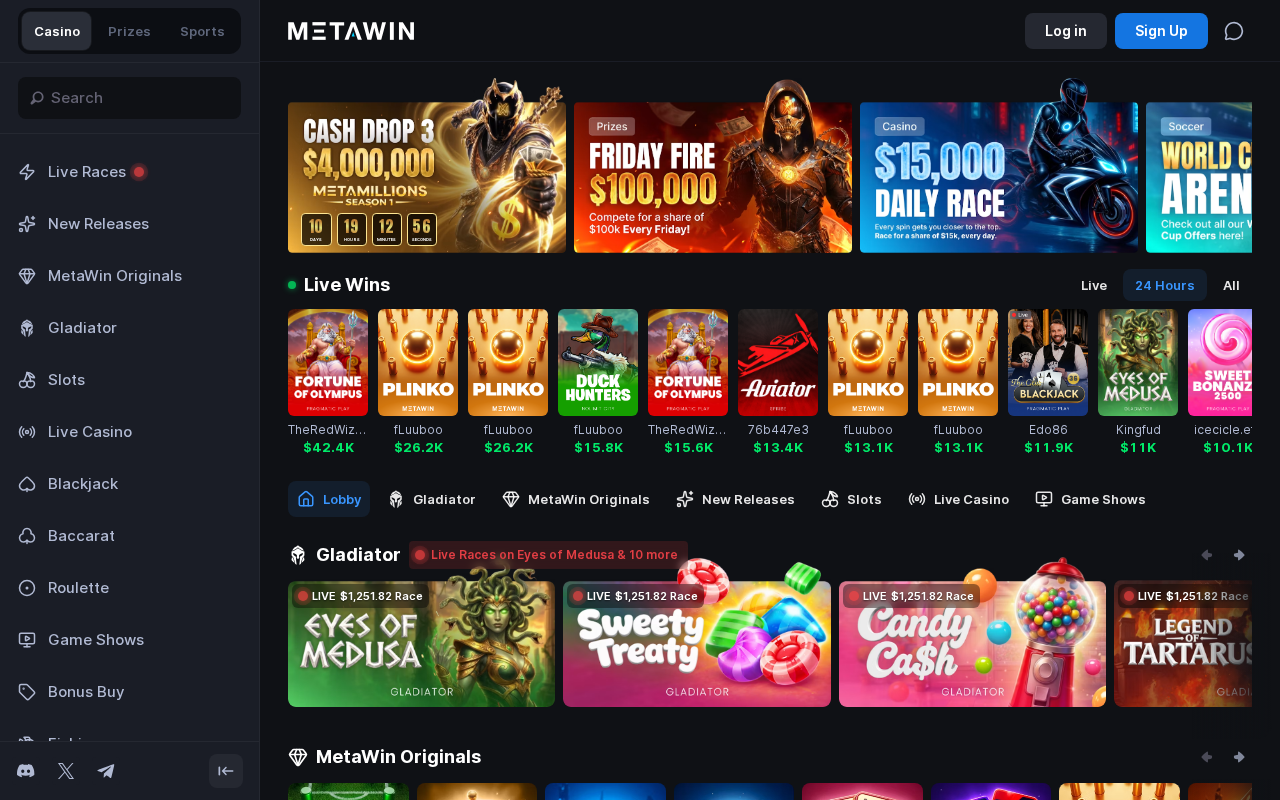 MetaWin homepage screenshot
